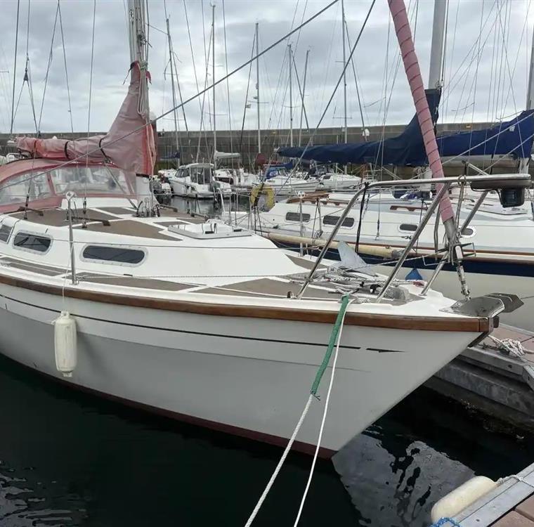 COUNTESS 28 (COLVIC)