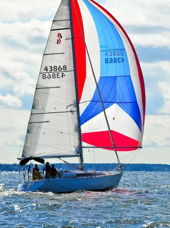 CS 36 MERLIN