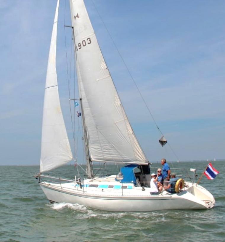 ELAN 33