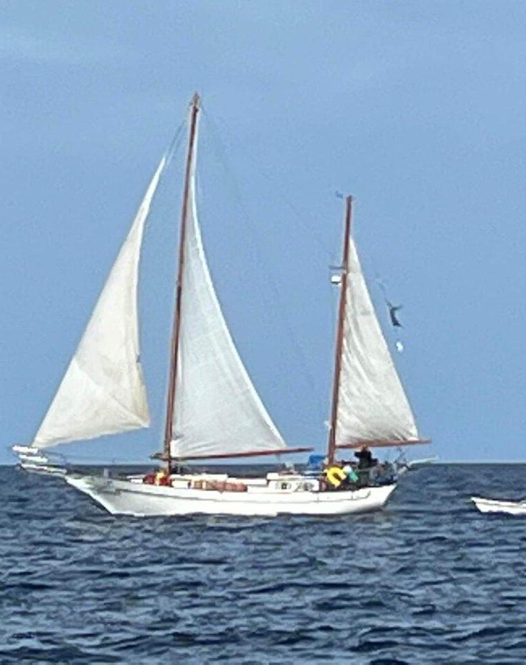 FORMOSA 41