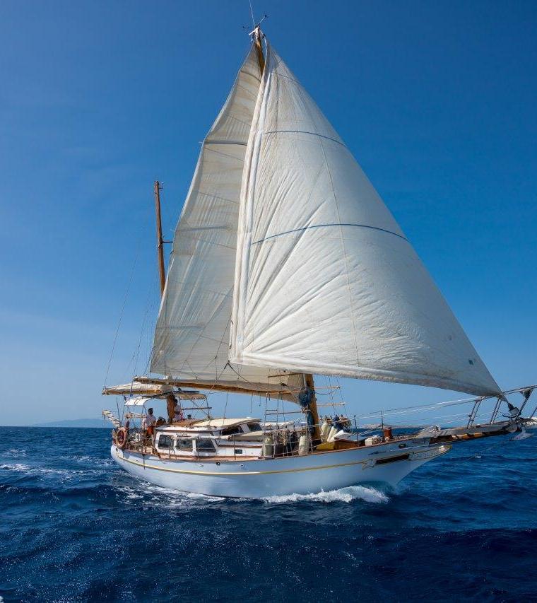 FORMOSA 46