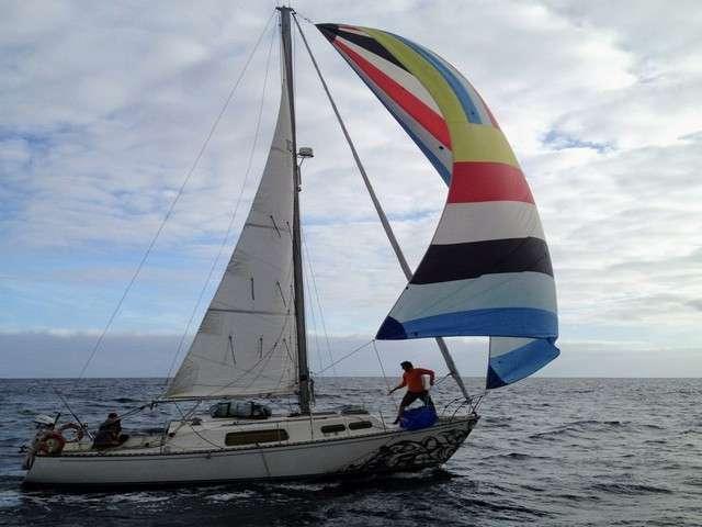 GRAMPIAN 30