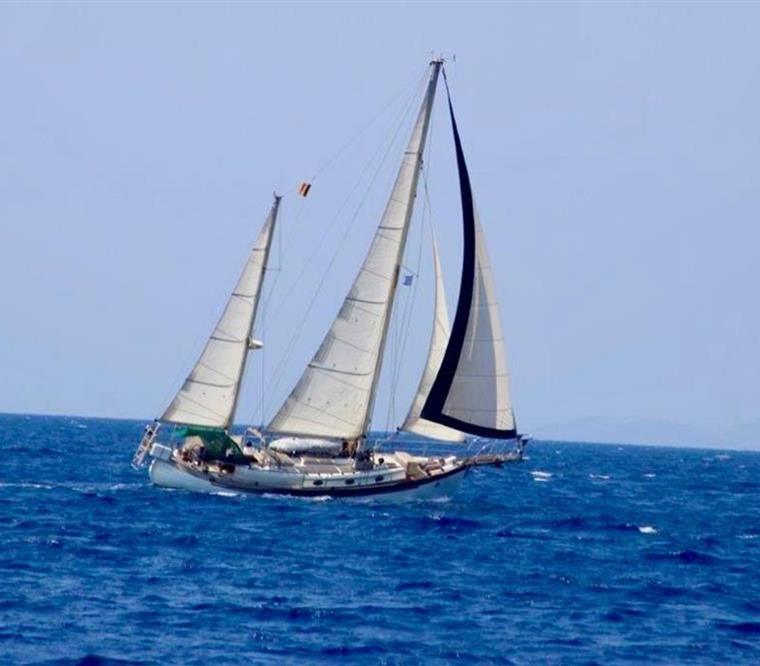 HANS CHRISTIAN 43