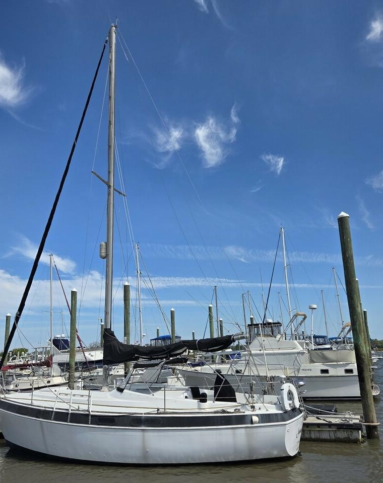 MORGAN OUT ISLAND 33 MS