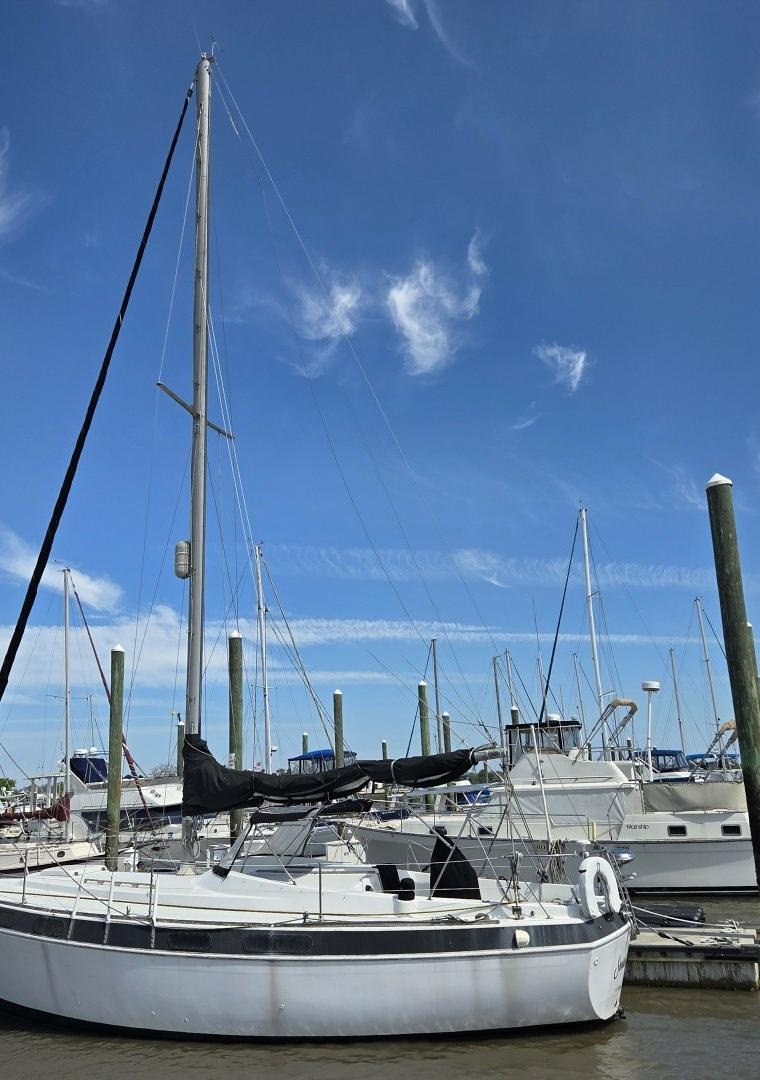 MORGAN OUT ISLAND 33