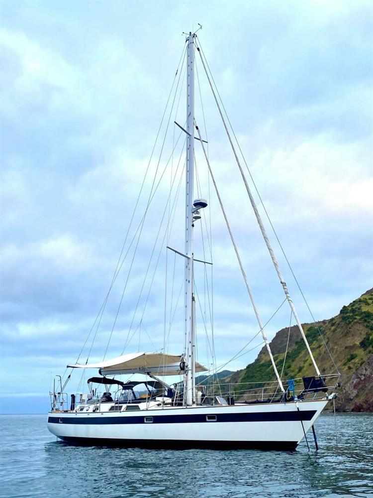 NORSEMAN 447