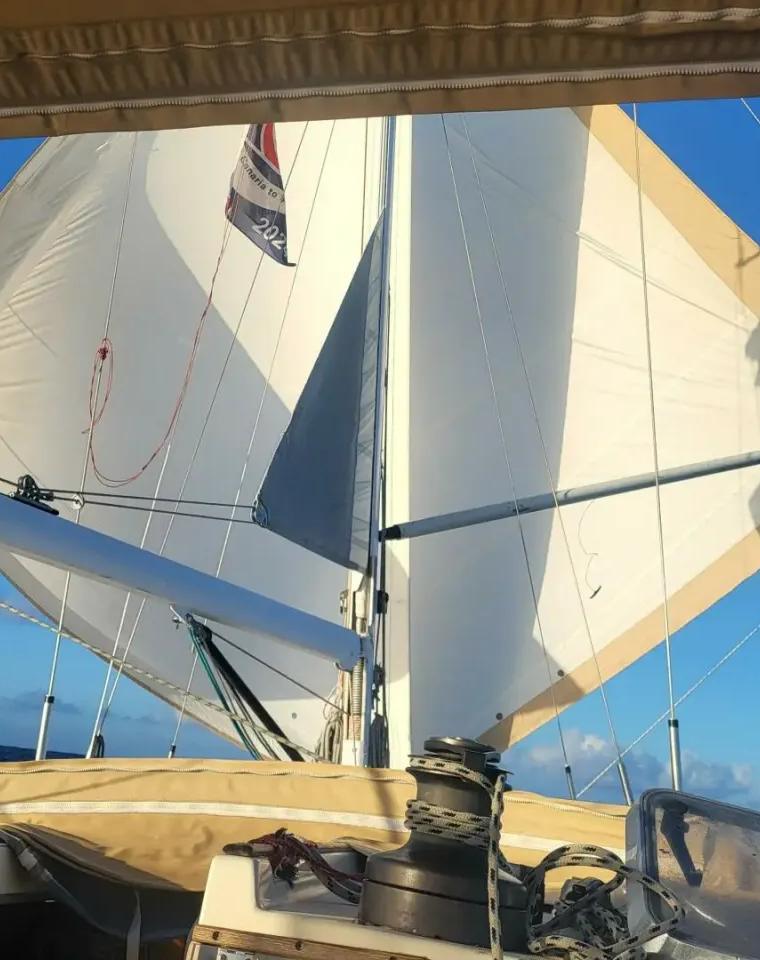 OCEANIS 500 (BENETEAU)
