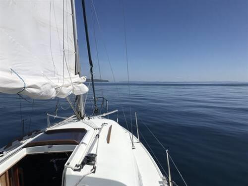 RANGER 265 (THOMAS)