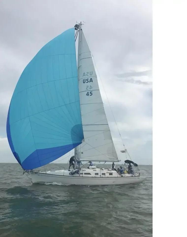 SAGA 43