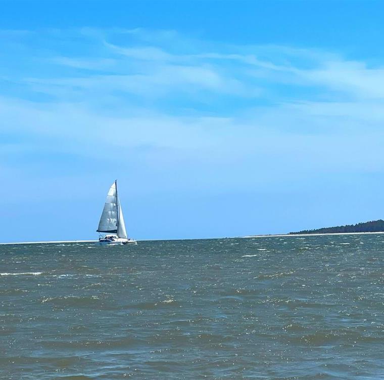 SEAWIND 1000