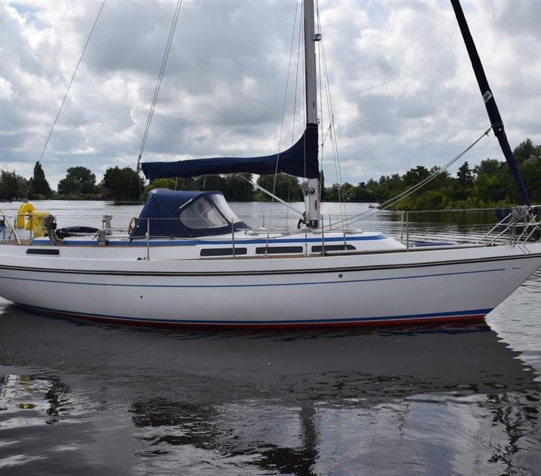 STOREBRO ROYAL 33