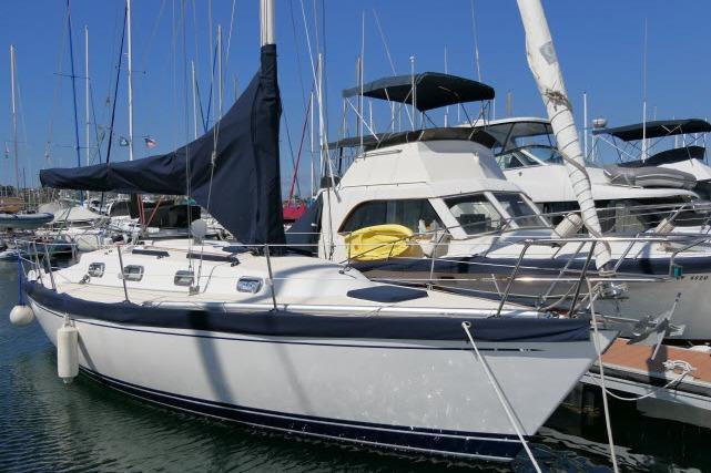 TARTAN 3100