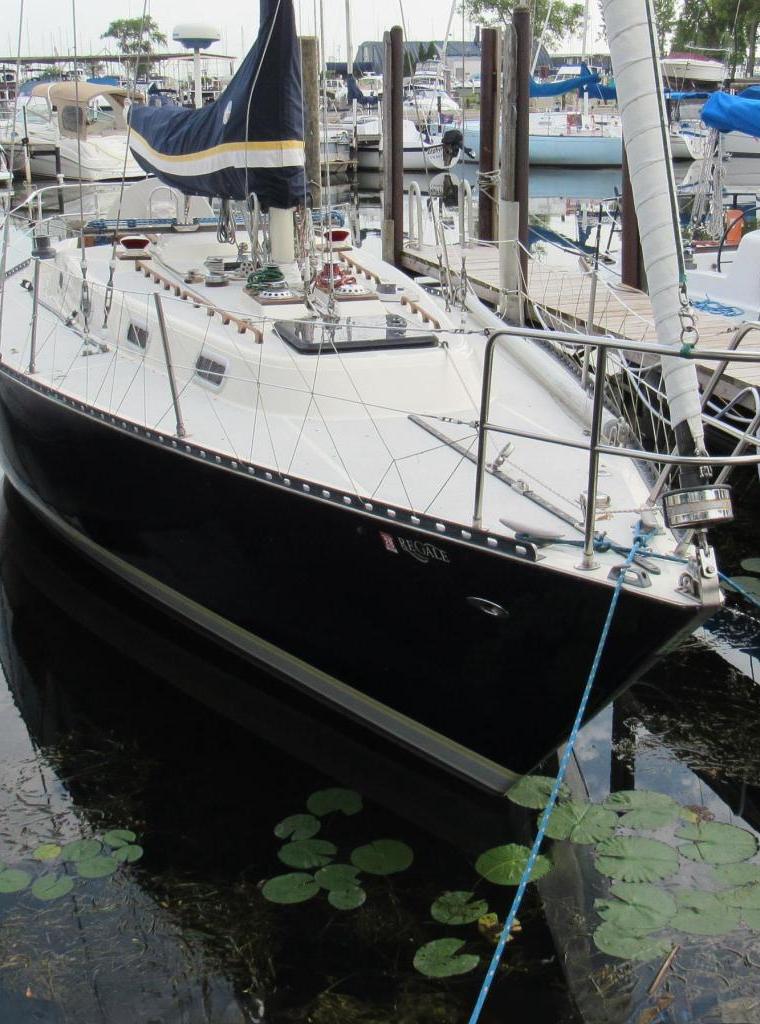 TARTAN 38