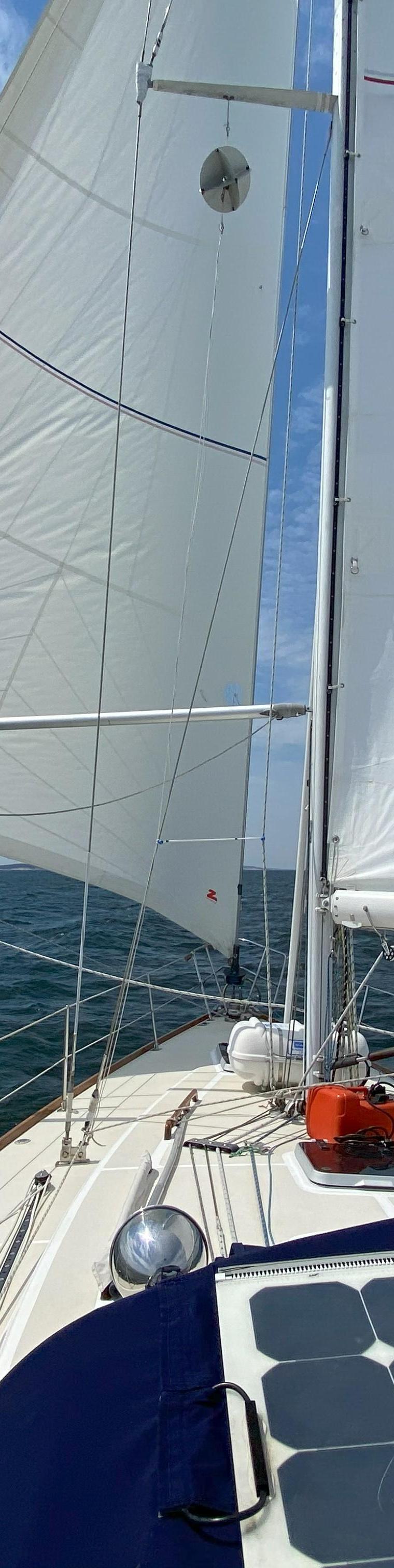 TARTAN TOCK 40