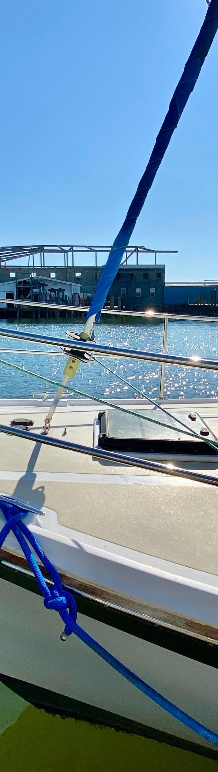 WELLINGTON 44