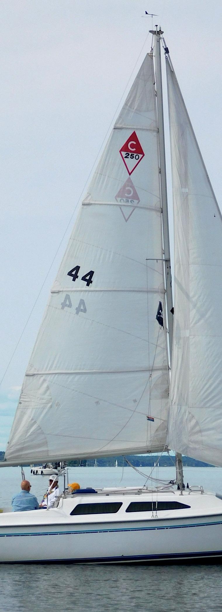 CATALINA 250