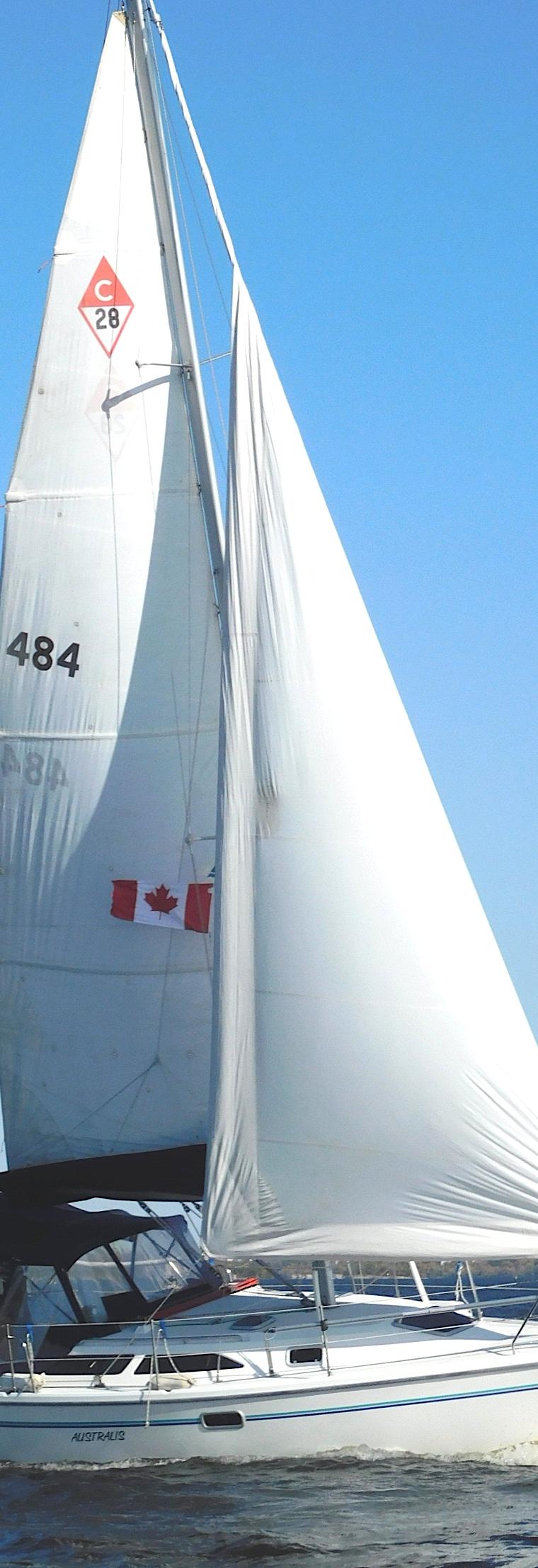 CATALINA 28