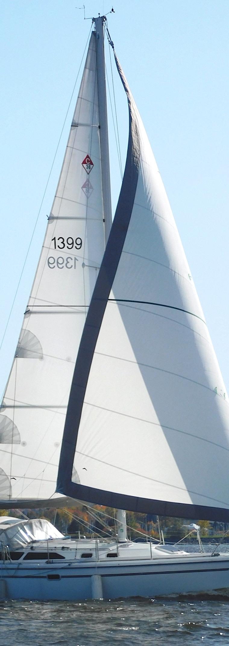 CATALINA 36