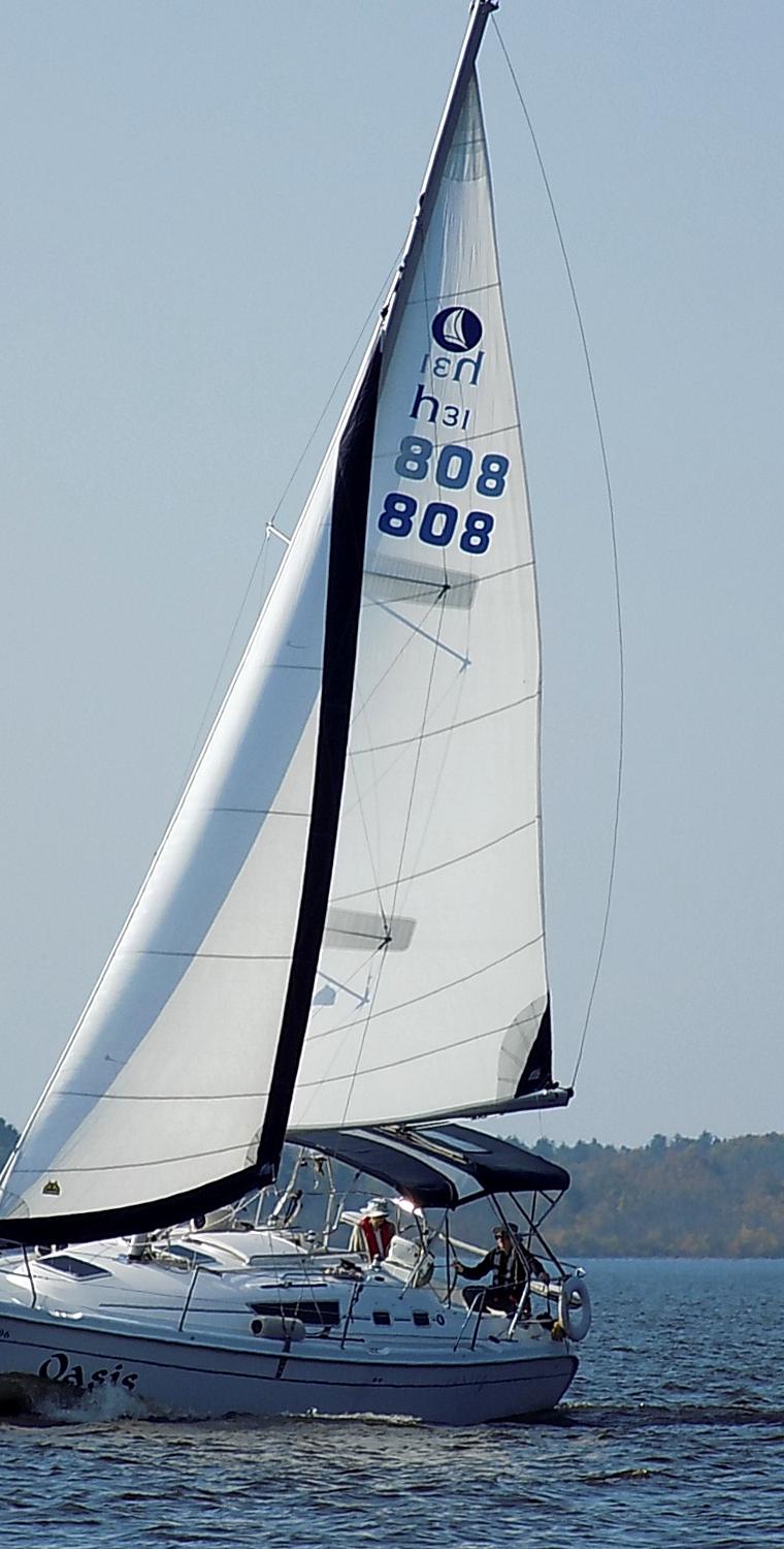 HUNTER 31