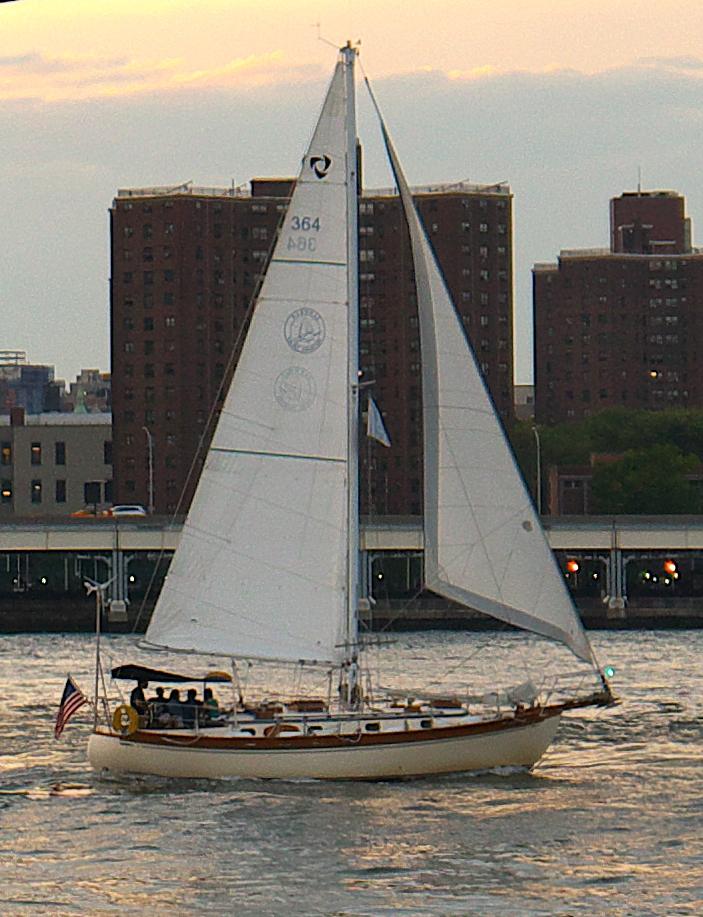 TAYANA 37